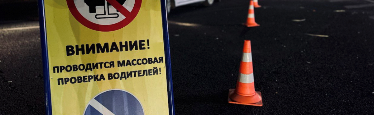 В г.о. Пушкинский сотрудники ГИБДД проведут рейды для профилактики ДТП