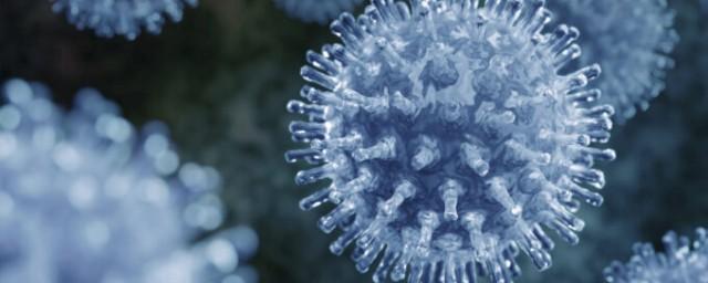 Учёные из Королевского университета Белфаста изобрели уничтожающую вирусы пластиковую плёнку