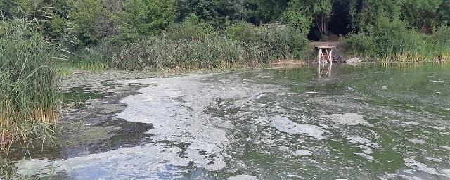 Состояние реки Богучарки в Воронежской области вызвало тревогу у местных жителей