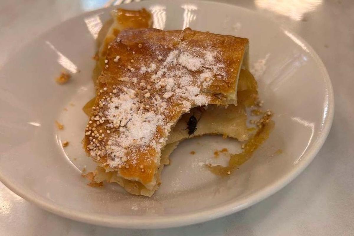 Массовое отравление произошло в столовой колледжа в Петербурге