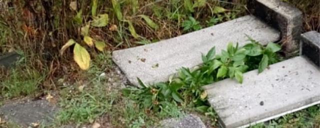 На кладбище под Новосибирском школьник разгромил 40 надгробий