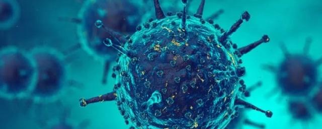 Число заразившихся коронавирусом в Тамбовской области выросло до 12,5 тысяч