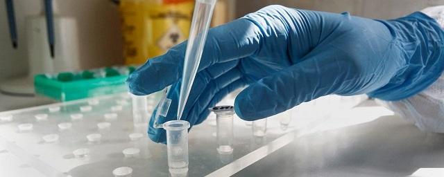 В Липецкой области 7 человек умерли от коронавируса