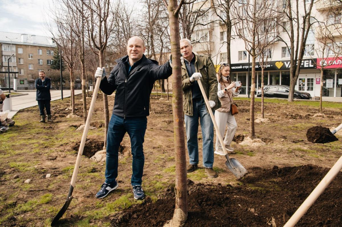 Глава Городского округа Пушкинский Максим Красноцветов поучаствовал в акции «Сад Памяти»
