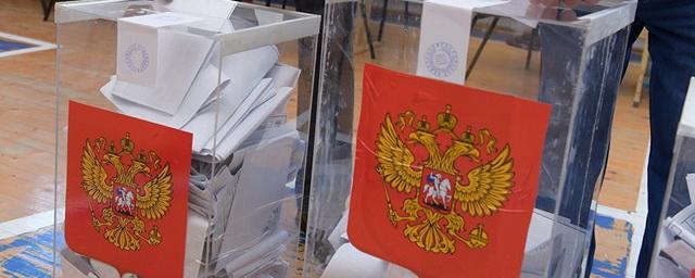 В избиркоме Иванова забраковали 15% подписей за партию «Яблоко»