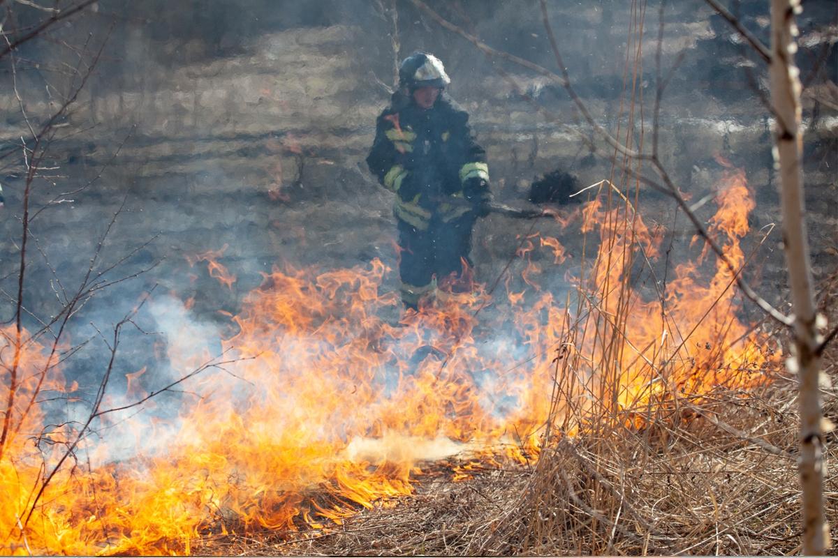 Почти 250 населённых пунктов в Коми находятся под угрозой лесных пожаров