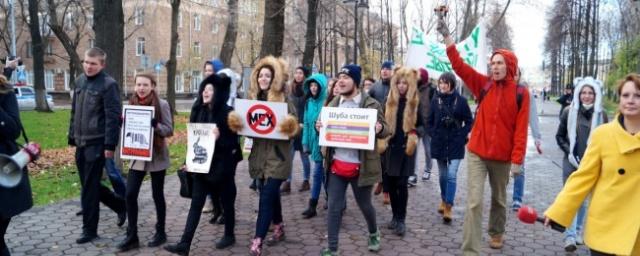 Пермяки соберутся на пикет в защиту животных