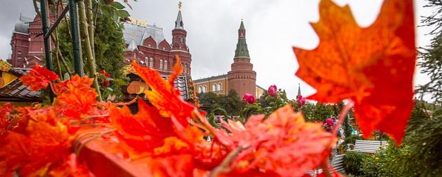 В Москве может повториться бабье лето