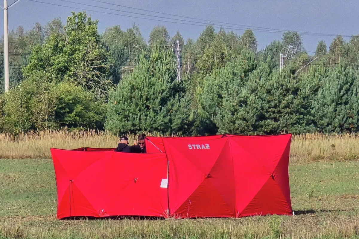 В Минобороны России ответили на обвинения из-за происшествия с дронами в Польше