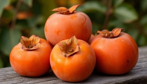 Диетолог Михаил Гинзбург поделился информацией о пользе хурмы для людей старше 50 лет