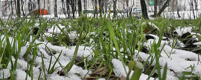 Снег в Москве растаял на две недели раньше обычного