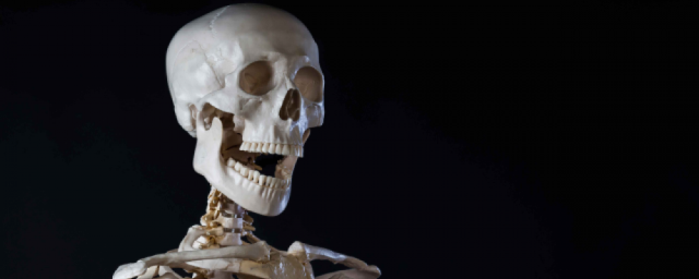 Австралийские ученые разработали новый способ регенерации костей