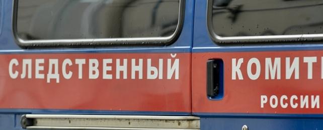 СКР проверяет информацию о травмировании ребенка прохожим в Петербурге