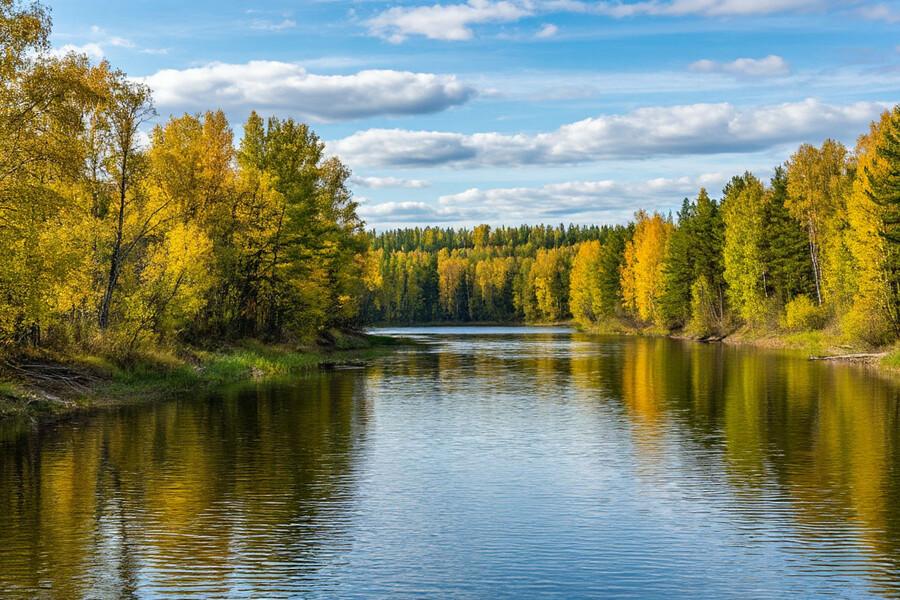 Амурские предприниматели получают поддержку в развитии туризма по нацпроекту президента