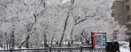 Морозная погода продержится в Новосибирской области до конца января