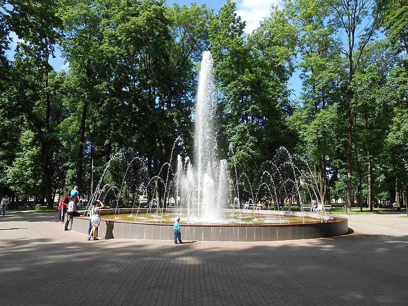 После публичной критики в сети в Смоленске не будут строить парковку и террасы в парке Блонье
