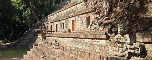 Ученые определили, что курили древние майя