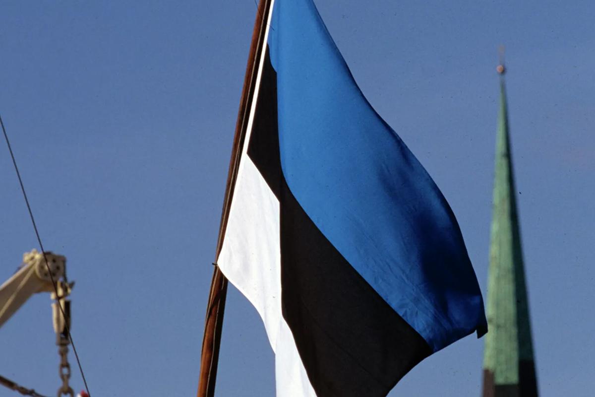 Большинство жителей Эстонии поддержали призыв оппозиции о досрочных выборах