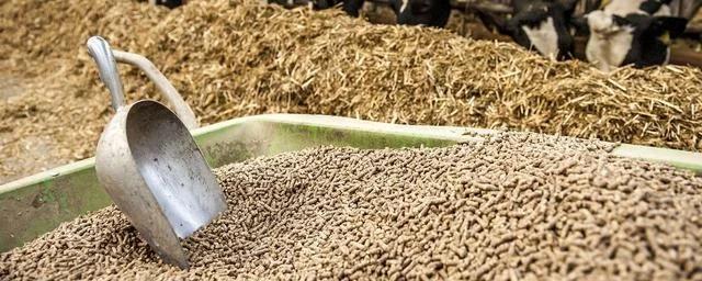 Аргентина надеется на увеличение поставок российской сельхоз продукции