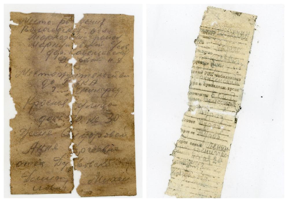 Новосибирский поисковый отряд обнаружил останки 87 солдат, погибших в ВОВ