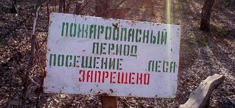 В Нижегородской области ввели особый противопожарный режим