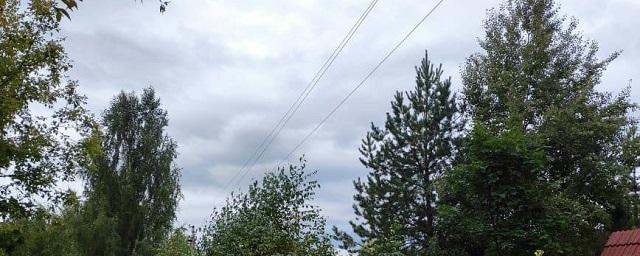 Раменский филиал АО «Мособлэнерго» произвел опиловку деревьев в охранных зонах