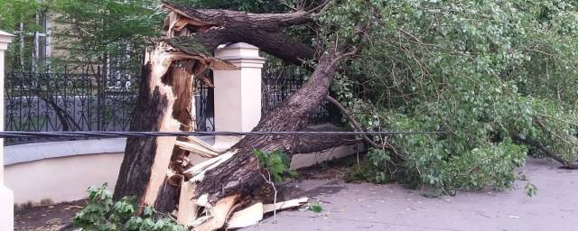 Порывы ветра в Москве достигали 28 м/с, ураган может повториться