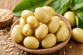 Рекордный урожай сои: Тамбовская область собрала 321 тыс. тонн и вошла в топ-2 России