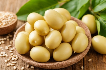 Рекордный урожай сои: Тамбовская область собрала 321 тыс. тонн и вошла в топ-2 России