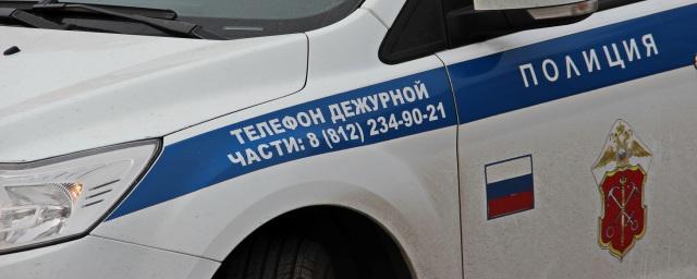 Задержан подозреваемый в убийстве двух жительниц Колпино