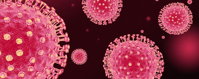 За сутки в России выявили 6 537 заболевших коронавирусом