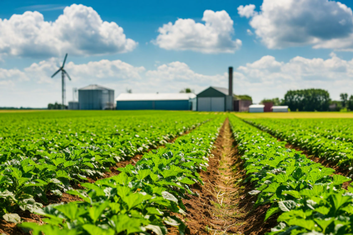 В Мордовиястате проанализировали развитие сельского хозяйства в республике