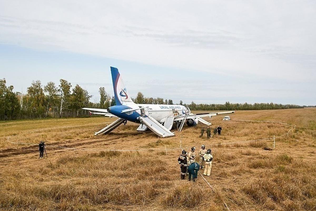 Севший в поле под Новосибирском самолет захотели сделать памятником для истории со счастливым концом