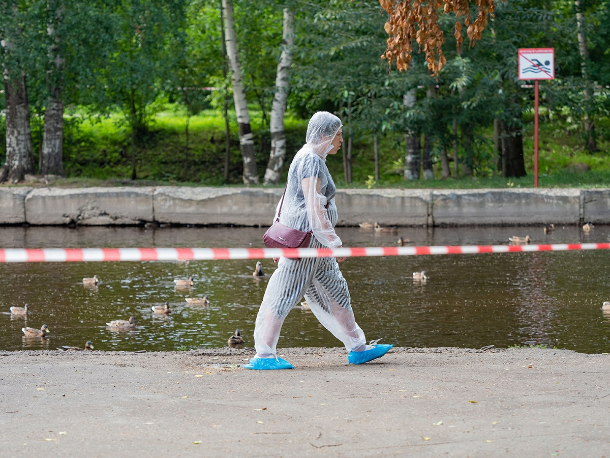 В свежих пробах у реки Неглинки в Петрозаводске птичьего гриппа эксперты не нашли