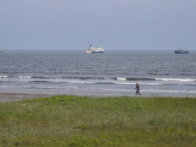 Россия запретила японским рыболовам вести промысел около Курил