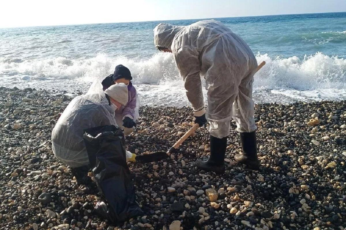 Решение об открытии пляжей Анапы примут после заключения Роспотребнадзора