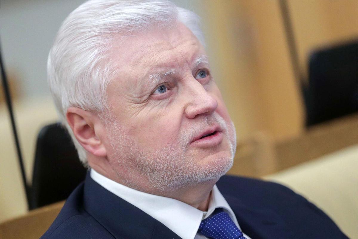 Миронов поддержал идею родительских патрулей в Архангельской области