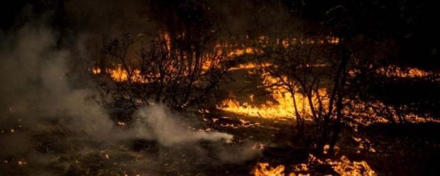 В Сибирском федеральном округе введен режим ЧС из-за лесных пожаров