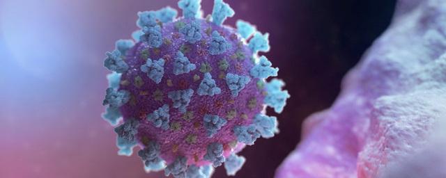 Ученые назвали сроки пика эпидемии коронавируса в Новосибирской области