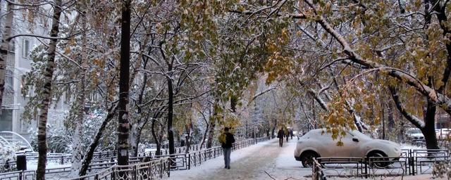 Первый снег в Тверской области выпадет в понедельник