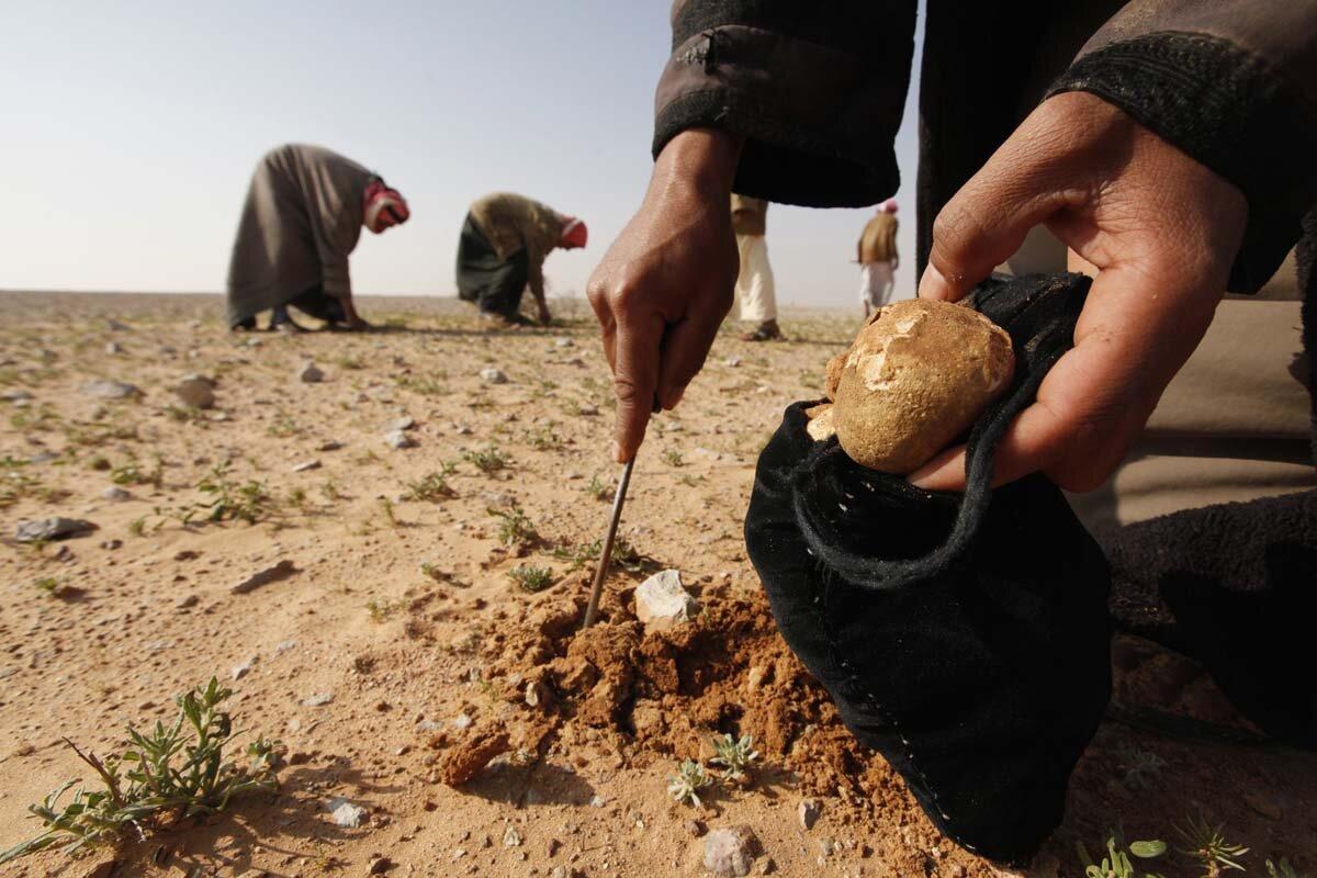 Взрыв мины в Сирии унес жизни шести грибников