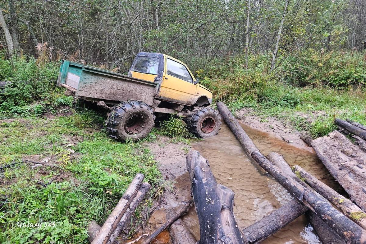 В течение сентября несколько десятков жителей Костромской области потерялись в лесах