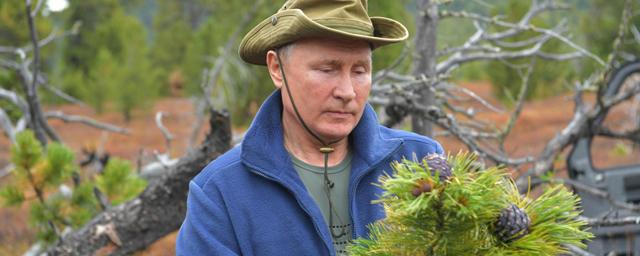 Путин поручил кабмину запретить вывоз необработанных лесоматериалов