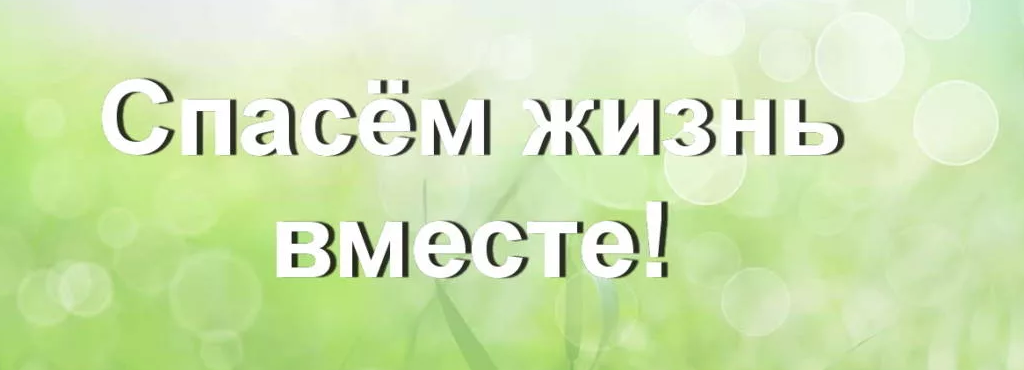 В Подмосковье с 10 января стартует конкурс «Спасем жизнь вместе»