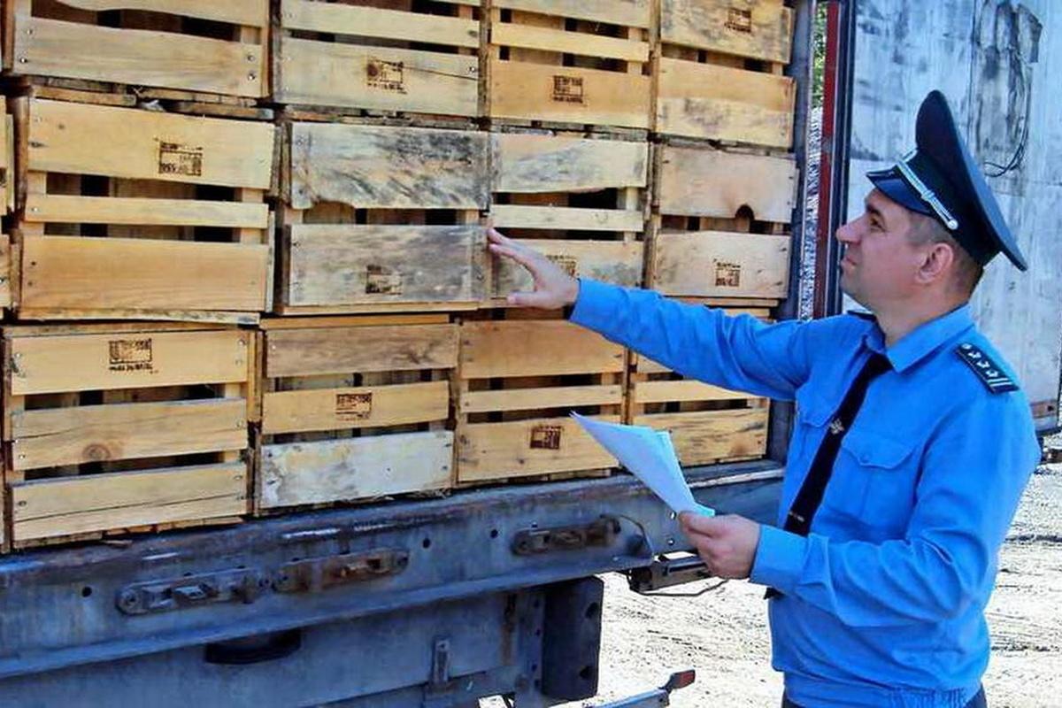 Калужская область в 2025 году экспортировала 1,4 млн срезанных цветов