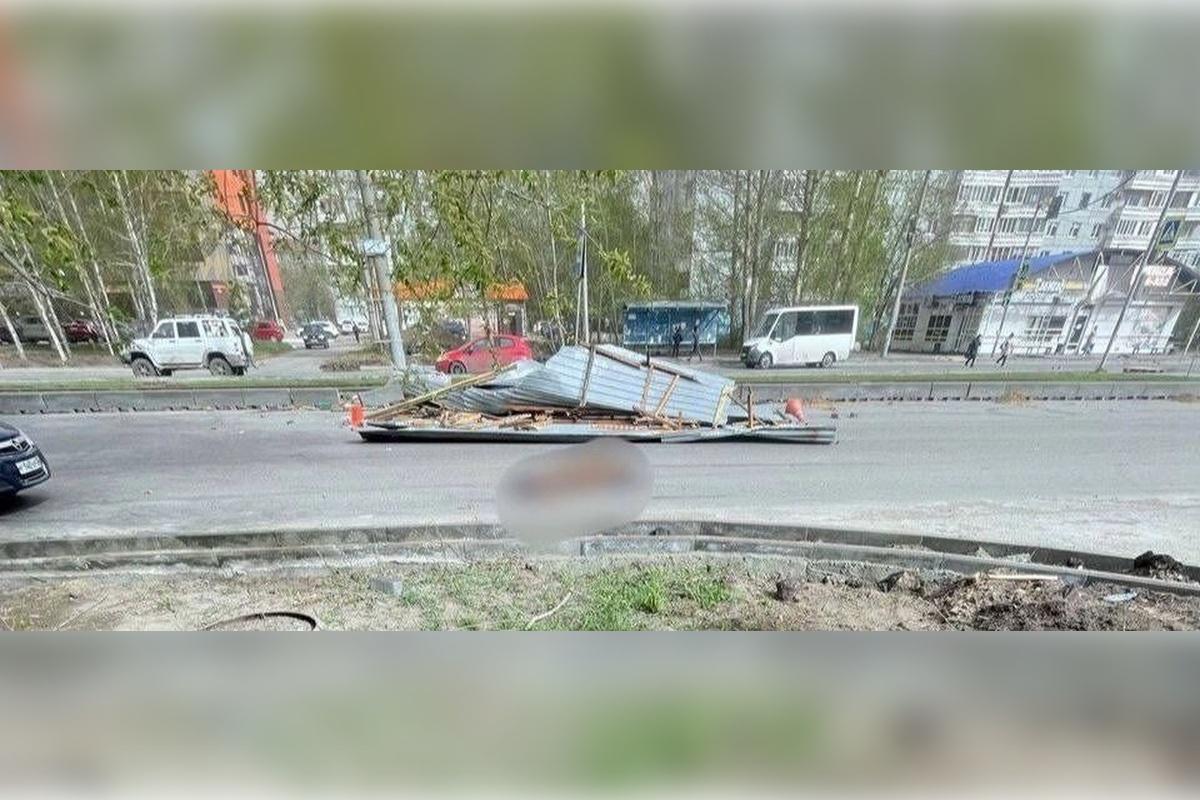 На жителя Омска упала листовая панель, мужчина погиб