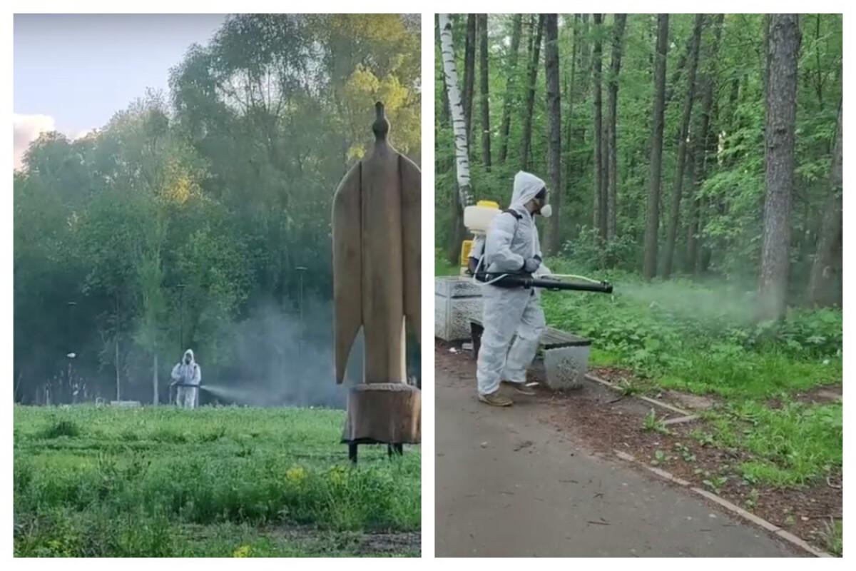В Йошкар-Оле проводят повторную обработку общественных мест от клещей