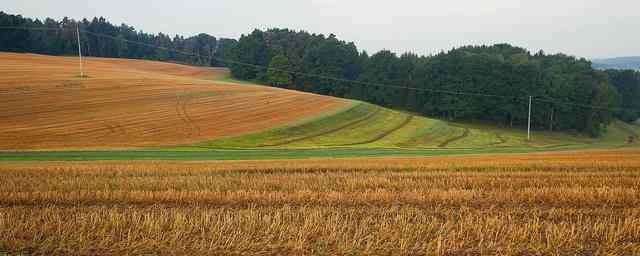 В Тверской области введут в сельхозоборот более 15 тысяч гектаров земли