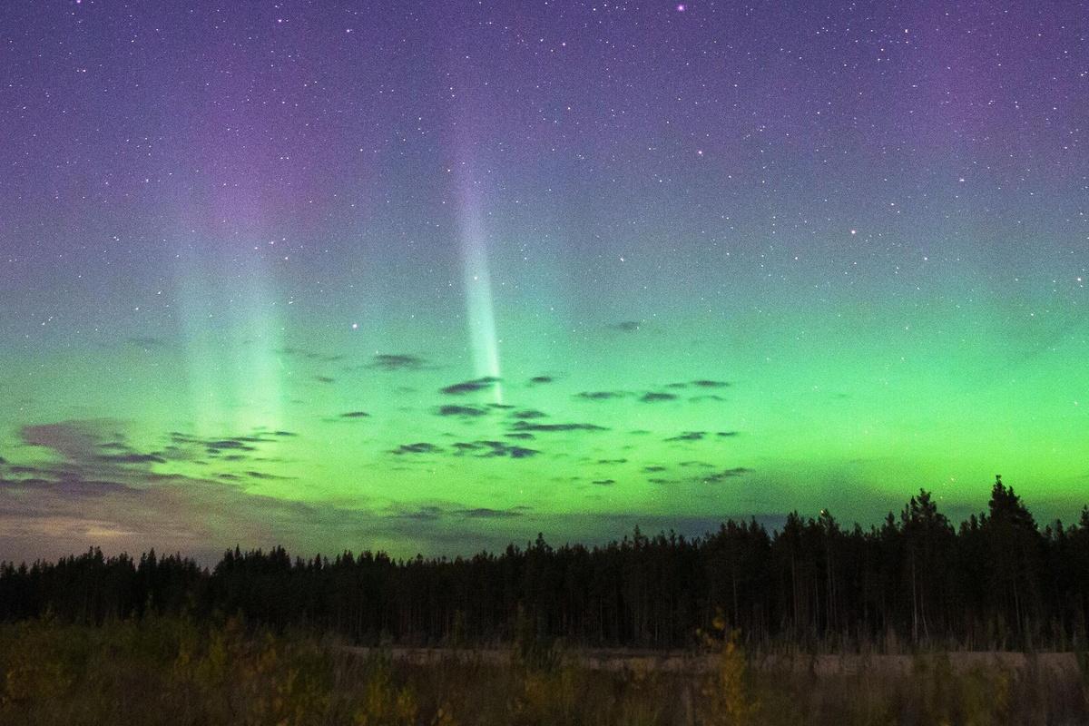 Сезон северных сияний открыли в Мурманской области
