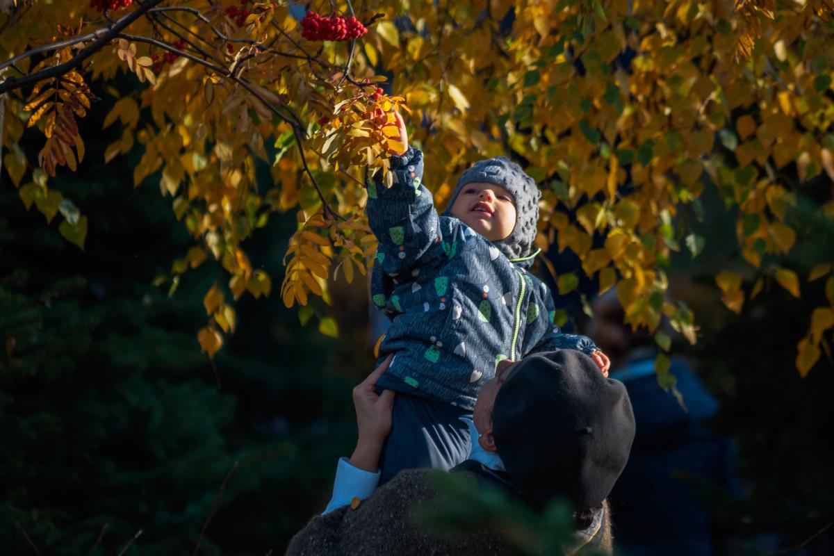 В Татарстане выделят 2,8 млрд рублей на реализацию программы «Охрана материнства и детства»